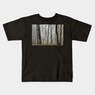 Fog beyond the grassy knoll Kids T-Shirt